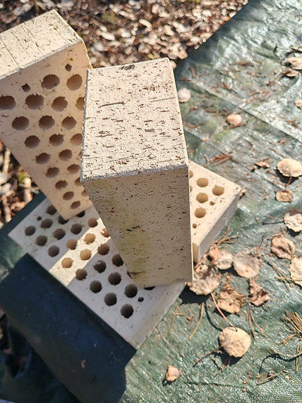 Tiiliä