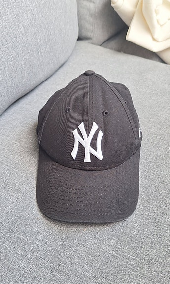 New York Yankees lippis