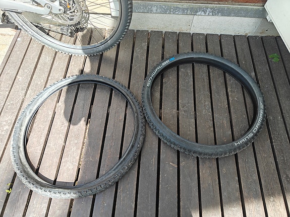 Schwalbe 29" kumit