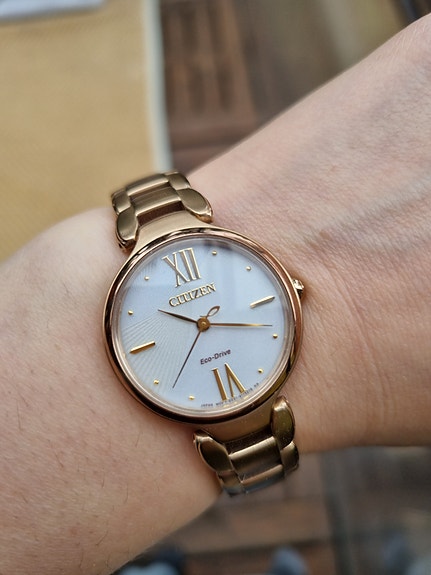 Citizen Eco-Drive EM0022-57A