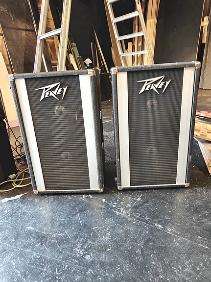 Peavey 210 Column