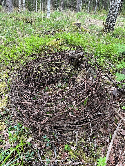 Piikkilanka pihalle tai askarteluun