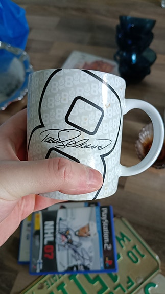 Kahvikuppi Teemun Selänteen nimmarilla