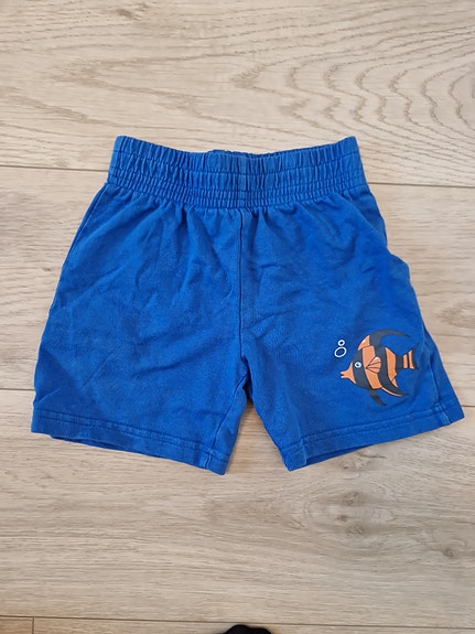 Shortsit 98