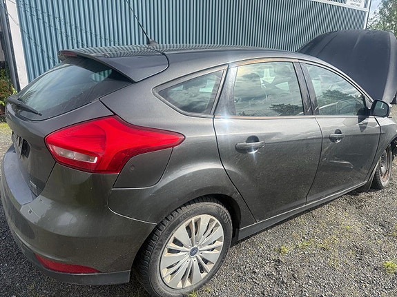 Ford Focus 2012 - 2017 osina