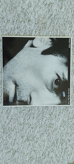 Peter Wolf