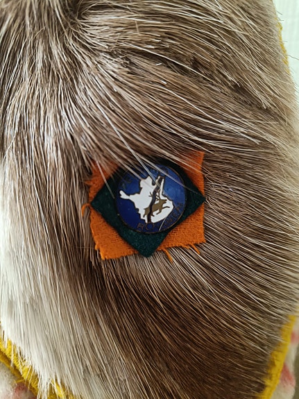 Product image 3 of 9