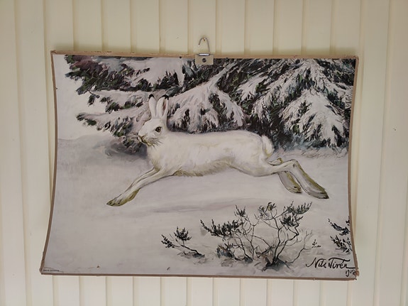 Vanha opetustaulu / koulutaulu, metsäjänis, 90x65cm