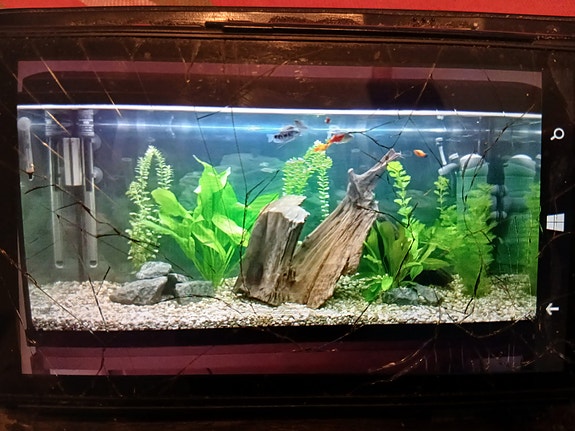 Akvaario 180l
