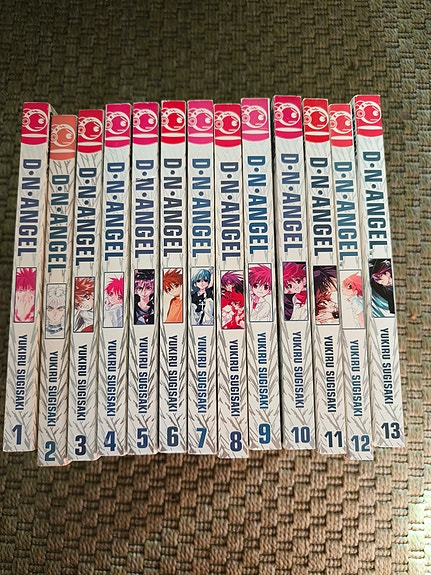 D.N.Angel 1-13