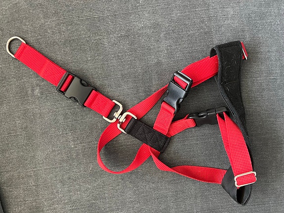 Hi-Craft Dog Car Harness koiran turvavaljaat koko M punainen