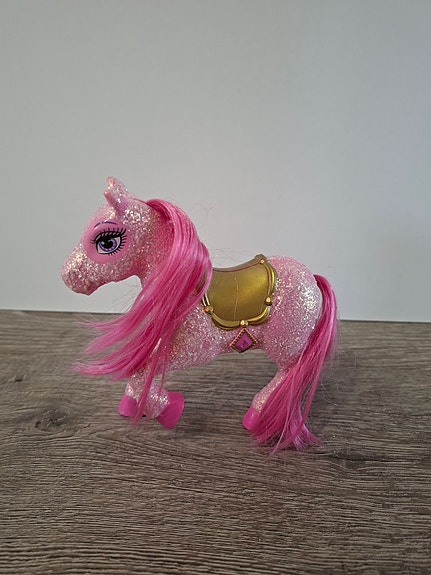 Hevonen/ poni