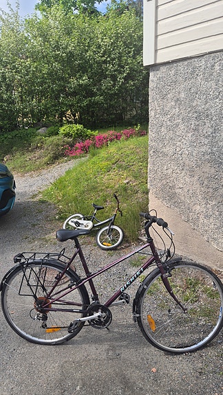 Nishiki pyörä