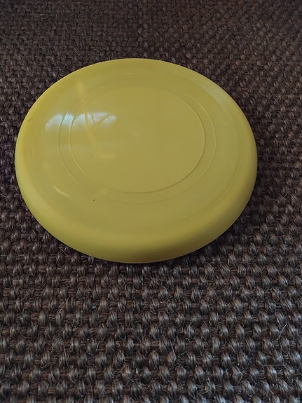 Frisbee