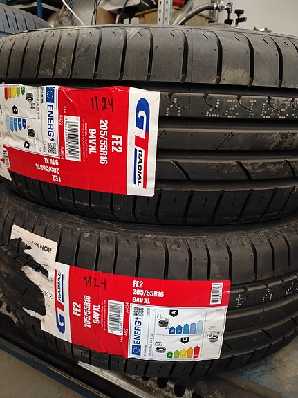 205/55r16 Gt Radial kesärengas pari