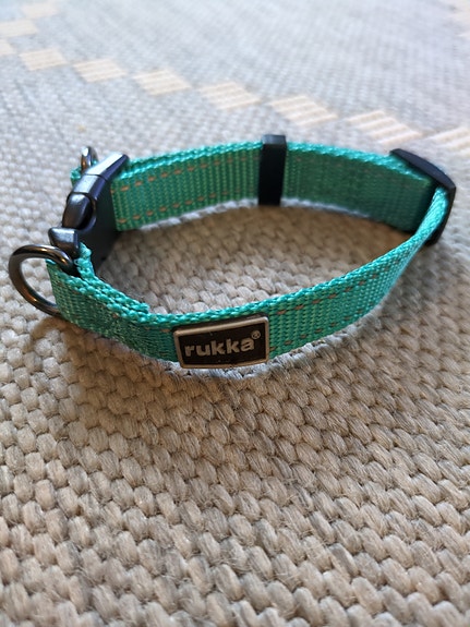 Rukka pienen koiran panta