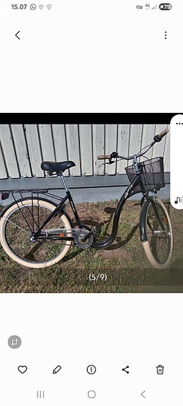 26" Raleigh EASY WAY, matalarunkopyörä