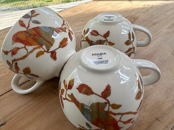 Arabia 1875 24h mukit lintukuvio