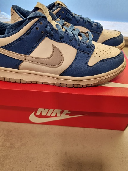 Nike Dunk