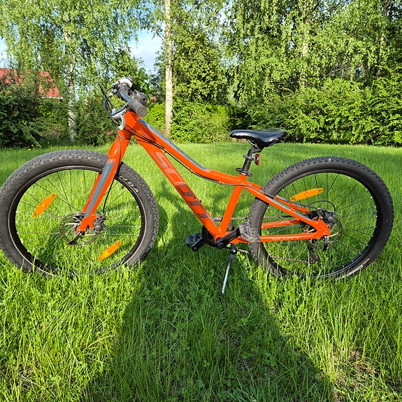 Scott Roxter 24