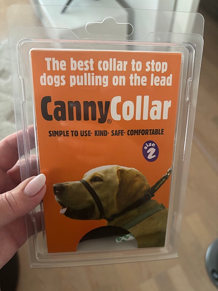 Canny Collar koiran panta koko 2
