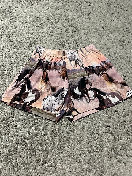 Molo shortsit 104