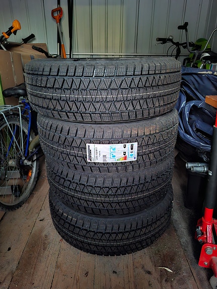 Bridgestone DM-V3 talvirenkaat 225/65 R17 106S XL