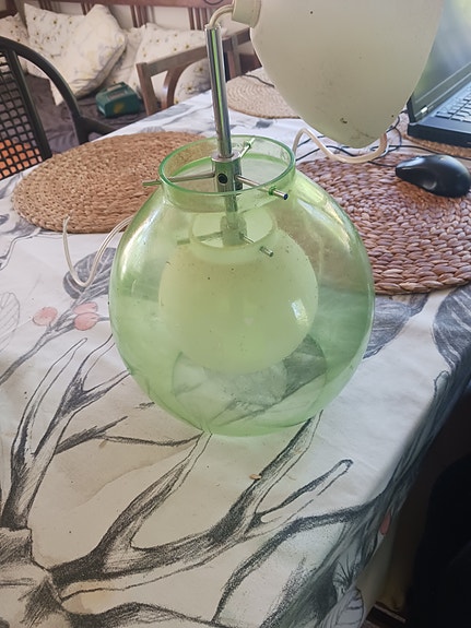 Patricia Trampevski Pikant Belid.