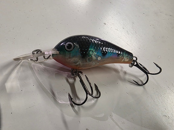 Rapala Fat Rap 5cm (FR-5)