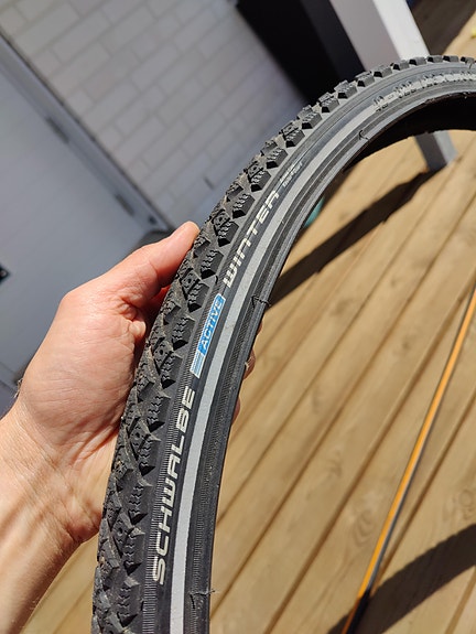 Schwalbe winter nastarenkaat