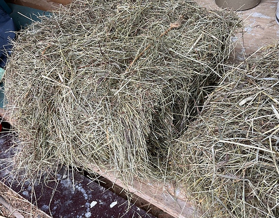 Heinää pikkupaaleissa