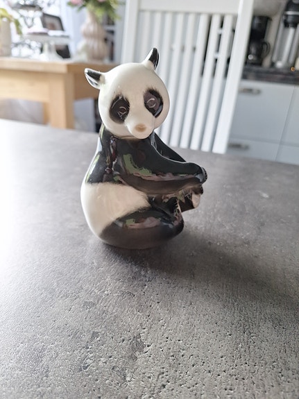 Lomonosov istuva panda koriste