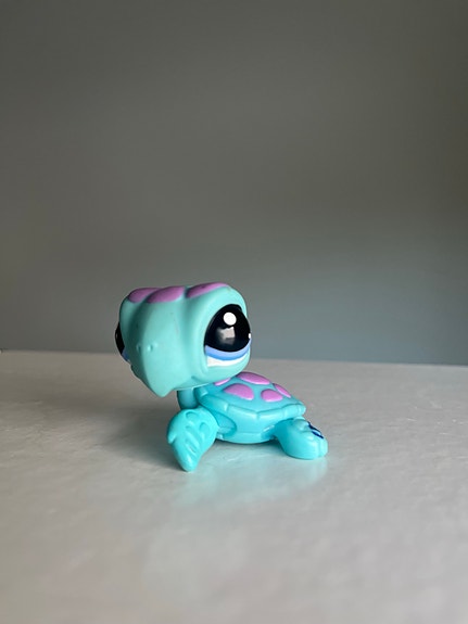 Littlest Pet Shop -kilpikonna