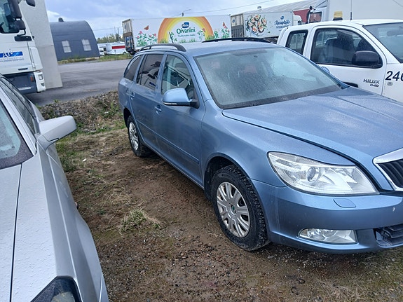 osina skoda oktavia