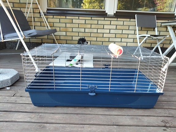 Häkki kani, marsu ym