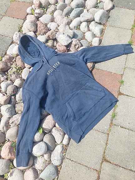 Hollister huppari