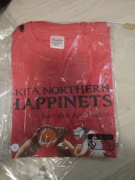 Ginga T-paita