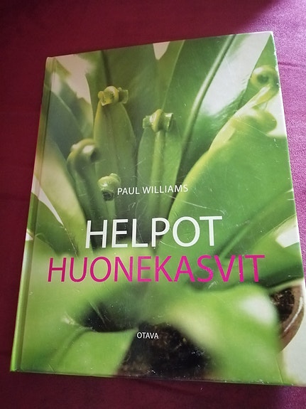 Helpot huonekasvit
