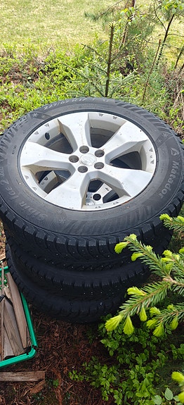 Subaru Forester 17" vanteet.