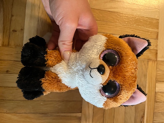 Ty beanie boos