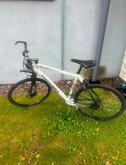 Miesten Nishiki pyörä