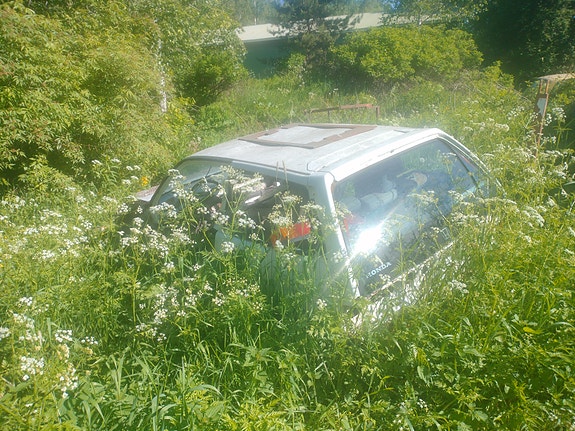 Honda Civic osina
