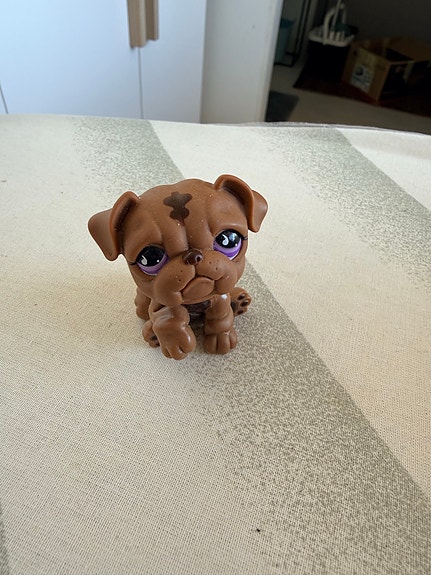LPS ruskea Bulldog