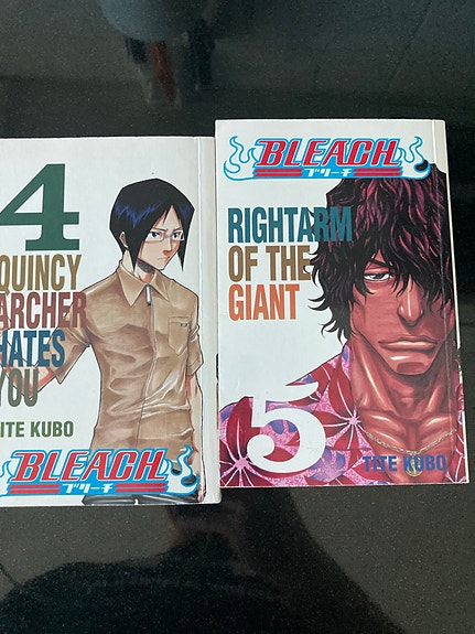 Bleach manga osat 4 ja 5