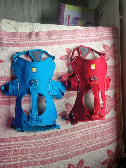 Ruffwear Web Master valjaat L/XL