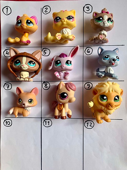 LPS koira, himalajan kissa, Blythe husky, corgi, leijona, kani ym