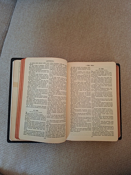 Biblia (raamattu)