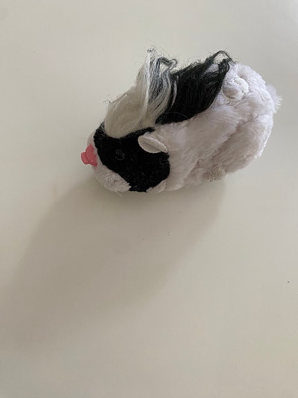 Zhu Zhu Pets hamsteri