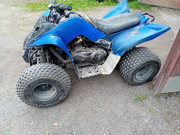 Yamaha raptor yfm90r
