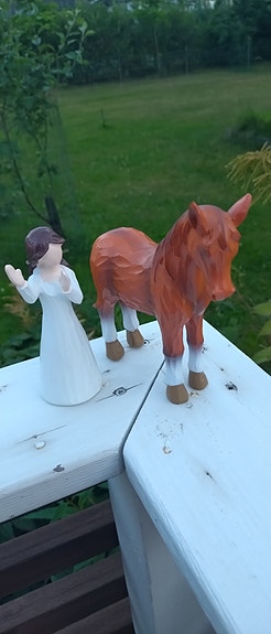Shein tyttö ja hevonen!